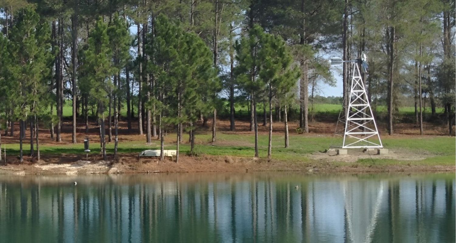Windmill Pond Aerator next to pond with trees around it — How to Aerate a Pond Without Electricity
