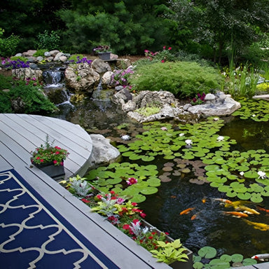 Aquascape 21′x26′ Large Pond Kit -  Pond with fish, lily pads, and a wooden deck in a garden setting