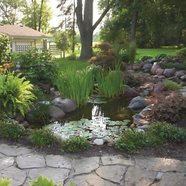 Aquascape DIY Backyard Pond Kits - Small pond in a garden with rocks, plants, and a stone pathway