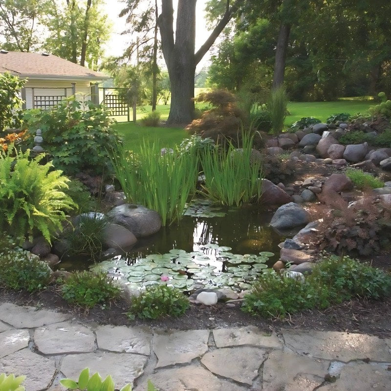 Aquascape DIY Backyard Pond Kits - Small pond in a garden with rocks, plants, and a stone pathway
