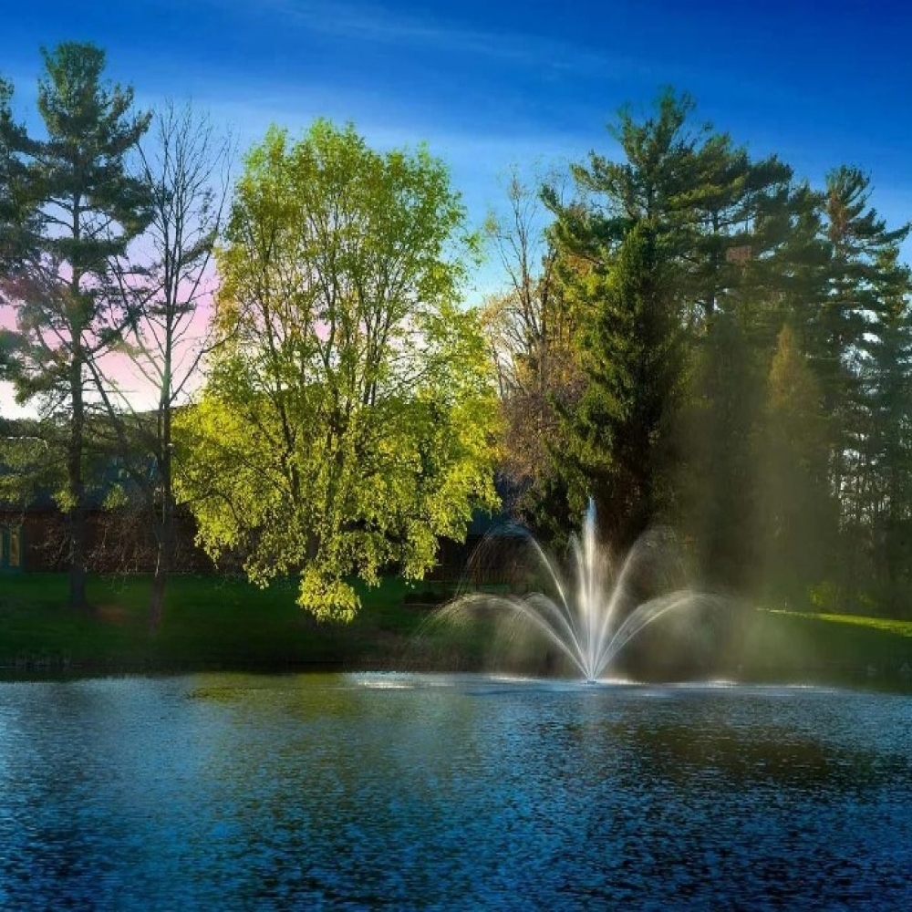 Scott Aerator Rosewood Nozzle - Spray Pattern on Display on Water with Trees at the Background