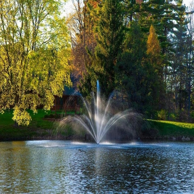 Scott Aerator Rosewood Nozzle - Spray Pattern on Display with Trees at the Background