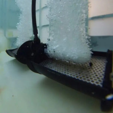 Vanguard Electric Bottom Aeration System Diffuser Aerating Under Water