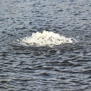 Vanguard Pond Spa Surface Aerator / De-Icer - Close up View