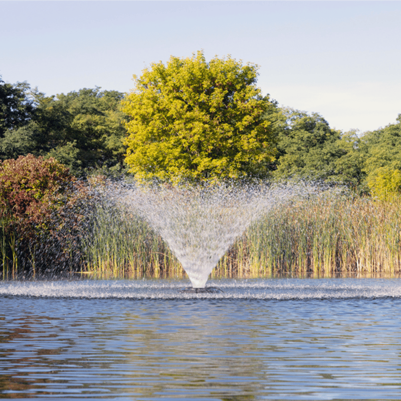 Kasco VFX Series Fountain On Water with Trees at the Background