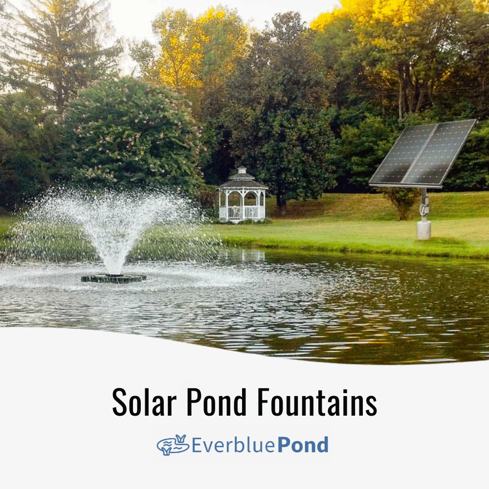 Solar Pond Fountains