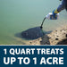 Airmax Blue Pond Dye for Ponds & Lakes - 1 Quart treats up to 1 Acre shown