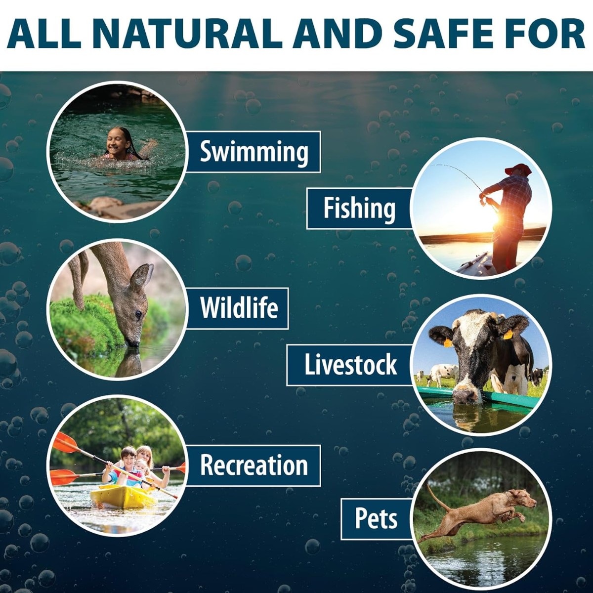 Airmax Blue Pond Dye for Ponds & Lakes - All natural and safe for swimming, fishing, wildlife, livestock, recreation, and pets shown