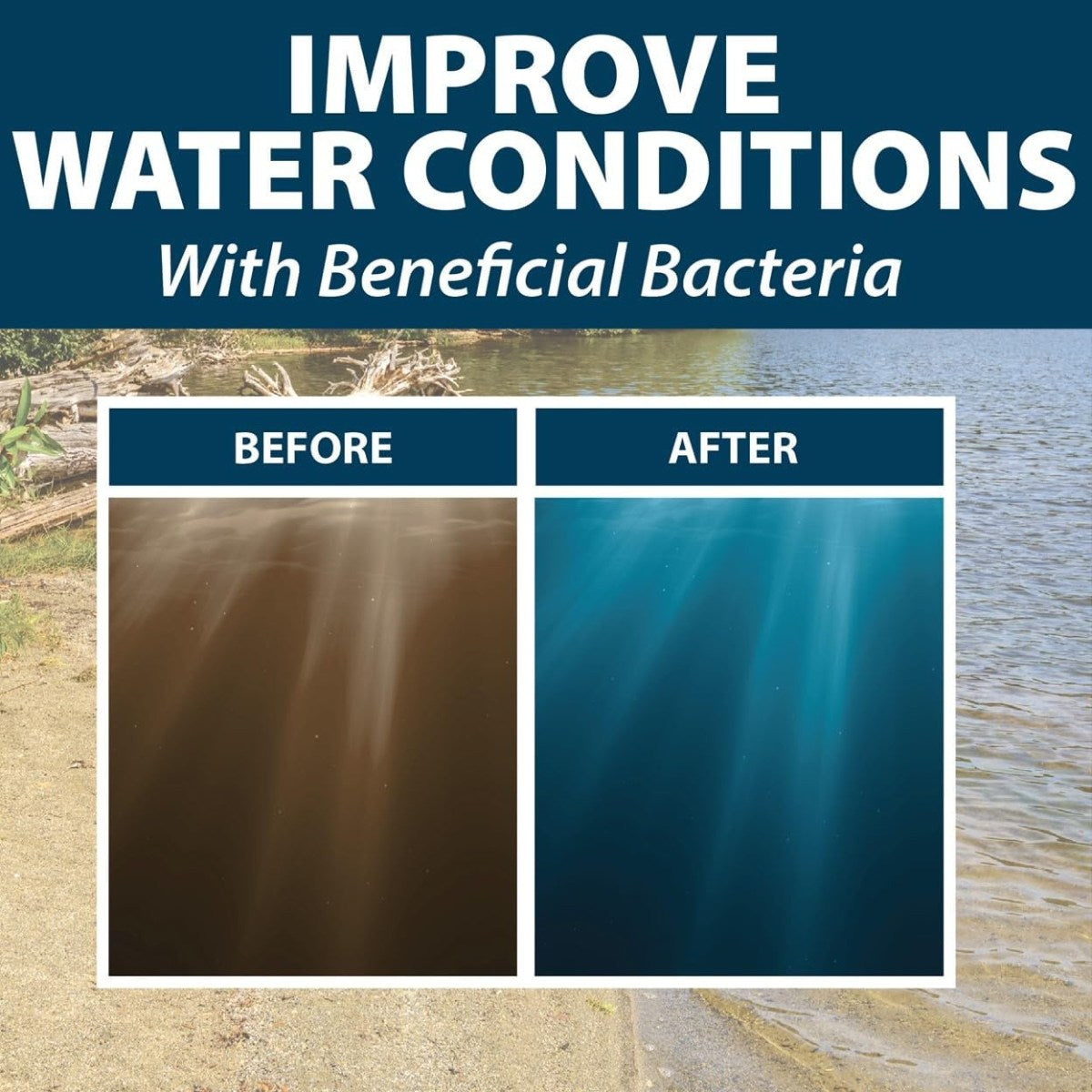 Airmax Blue Pond Dye for Ponds & Lakes - Before and after shown