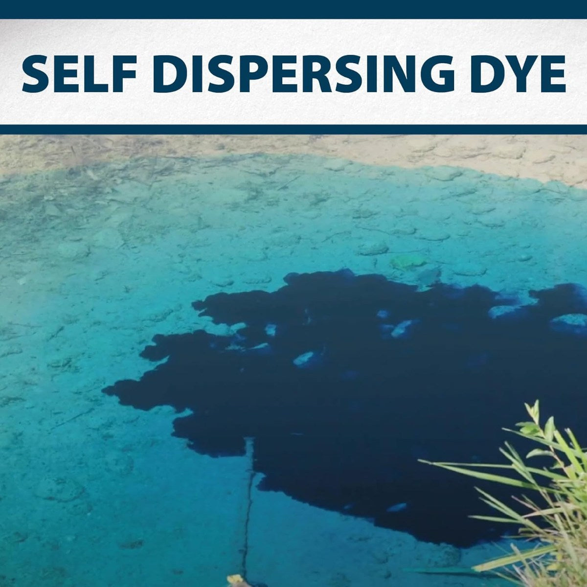 Airmax Blue Pond Dye for Ponds & Lakes - Self-dispersing dye shown