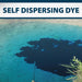 Airmax Blue Pond Dye for Ponds & Lakes - Self-dispersing dye shown