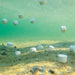 Airmax MuckAway Total Lake & Pond Muck Treatment - Visual of Muck Tablets in Water