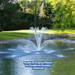 Airmax PondSeries Fountain Double Arch Spray Fountain On Water Display (Optional)