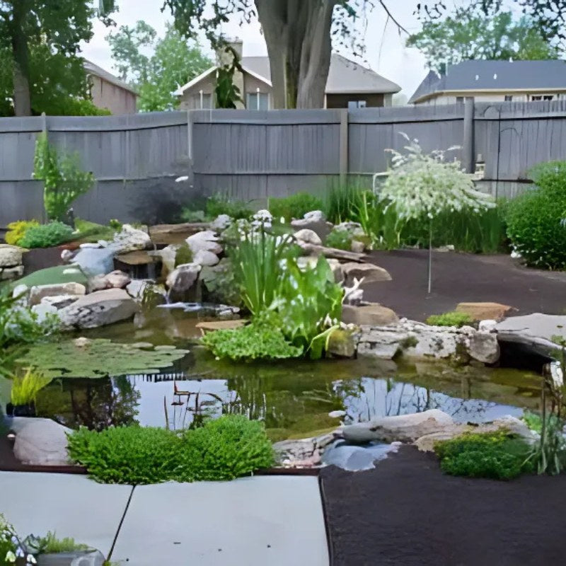 Aquascape 11′x16′ Medium Pond Kit - Backyard garden with a pond, rocks, and plants