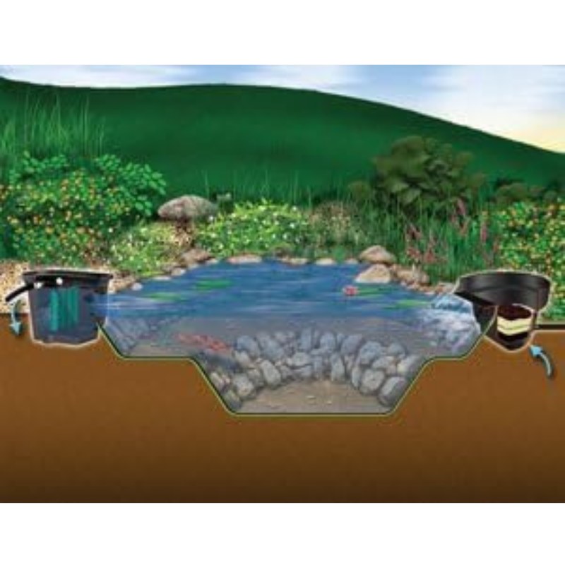 Aquascape 8'x11' Small Pond Kit - Cross-sectional diagram of a pond with water flow and fish
