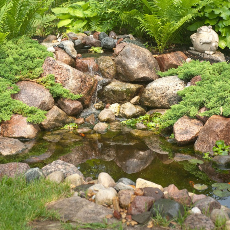 Aquascape 8'x11' Small Pond Kit - Small natural pond with rocks and water features surrounded by greenery
