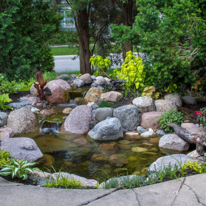 Aquascape 8'x11' Small Pond Kit - Small pond with rocks and plants in a garden setting