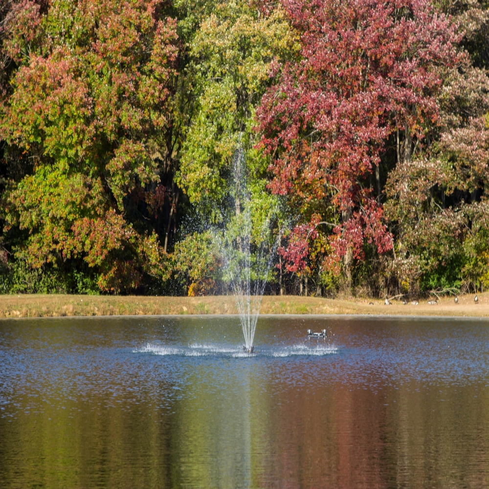 Bearon Aquatics Aphrodite Fountain On Water with Beautiful Trees at the Background