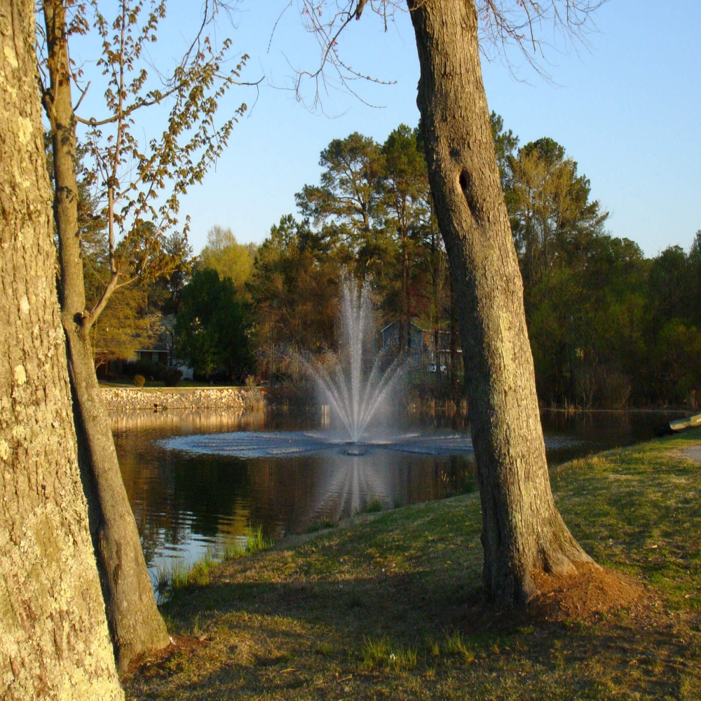 Bearon Aquatics Artemis Nozzle Spray On Water with Trees at the Background View