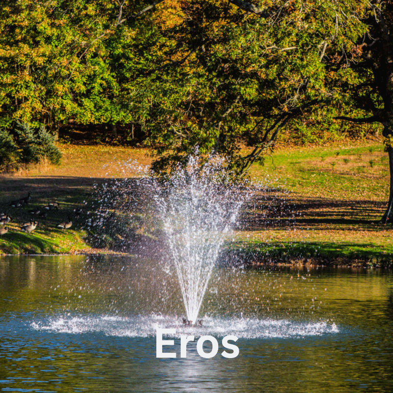 Bearon Aquatics Olympus Fountain - Eros spray pattern details on display
