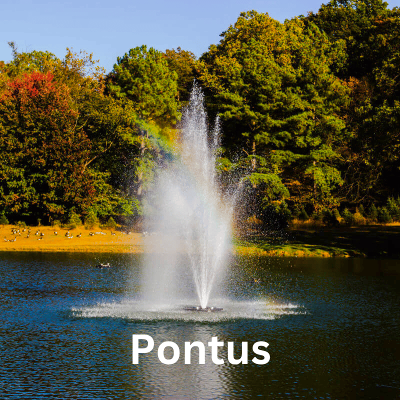 Bearon Aquatics Olympus Fountain - Pontus spray pattern details on display