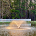 Bearon Aquatics Power House Aerating Fountain - On Water Display with Trees at the Background