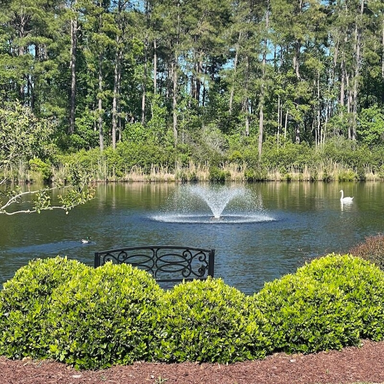 Bearon Aquatics Power House Aerating Fountain On Water Display with Trees at the Background
