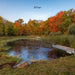 Clear and healthy pond water after treatment with Kasco AquatiClear system surrounded by autumn foliage