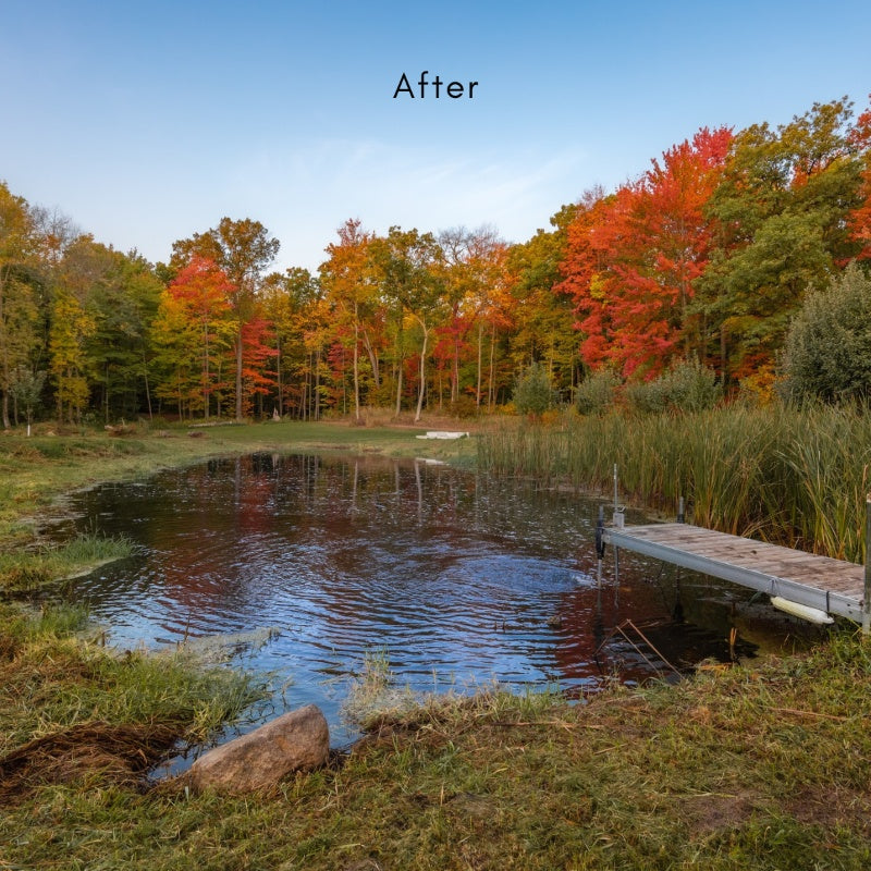 Clear and healthy pond water after treatment with Kasco AquatiClear system surrounded by autumn foliage