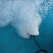 Close-up underwater view of Kasco Robust Aire diffuser releasing fine air bubbles for lake aeration