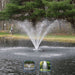 EasyPro AquaFountain - Included Spray Patterns Umbrella Spray and Rocket Spray On Water Display
