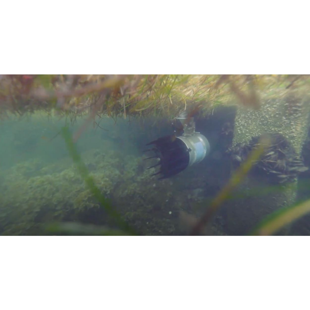 Kasco AquatiClear™ - Under Water Shot