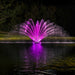 Kasco Fern Fountain Masterpiece Bundle with purple LED lighting display on pond at night