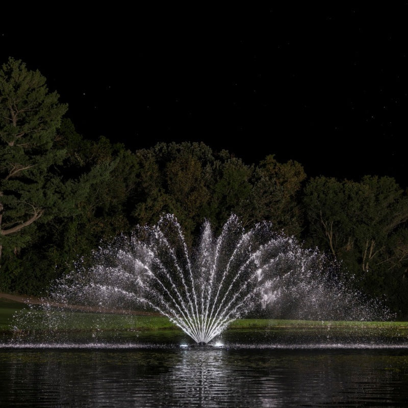 Kasco Fern Premium Fountain Nozzle with white LED lighting showing fine fern spray pattern