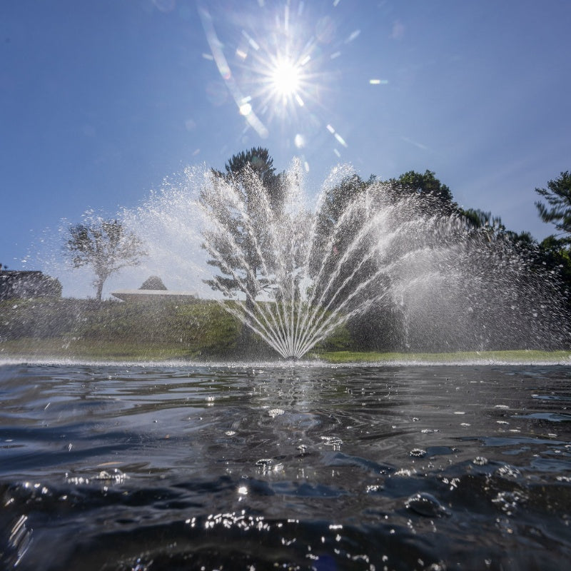 Kasco J Series Fern Premium Fountain Nozzle - On Water Display with Sunlight at the Background