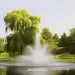 Kasco J Series Fountain with Balsam nozzle spray pattern producing a wide lower arc and tall center plume in a scenic pond