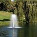 Kasco J Series Fountain with Birch nozzle near willow tree