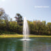 Kasco J Series Fountain with Redwood Nozzle spray pattern in daytime spring pond setting