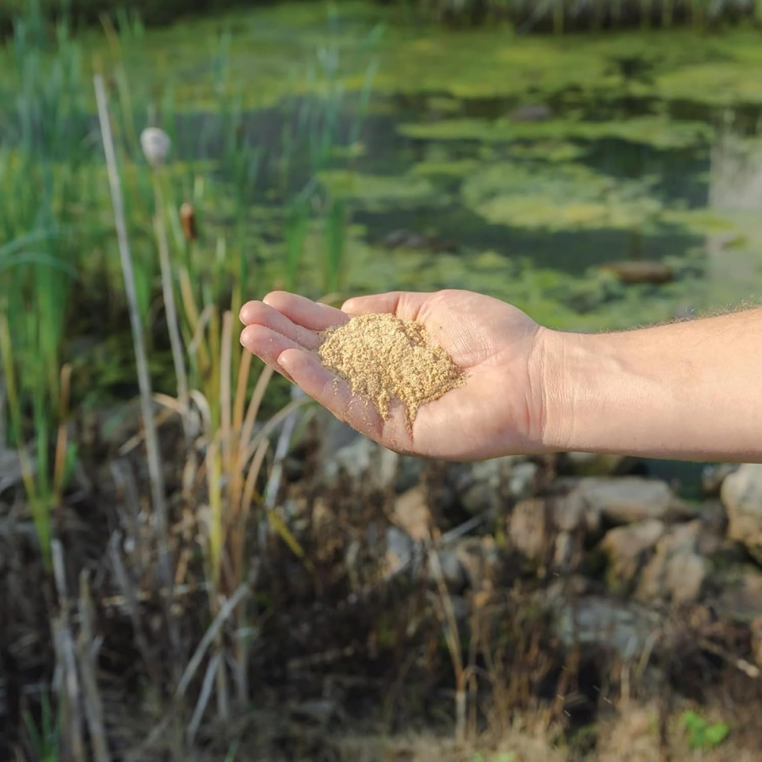 Kasco Pond Probiotics - Quick-Dissolving Powder in hand