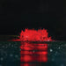 Kasco RGBW LED Lighting - RGBW18 LED Lighting System producing red illumination on surface aerator at night