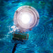 Kasco RGBW LED Lighting - W25 White LED Lighting System white LED light fixture operating underwater in clear blue water