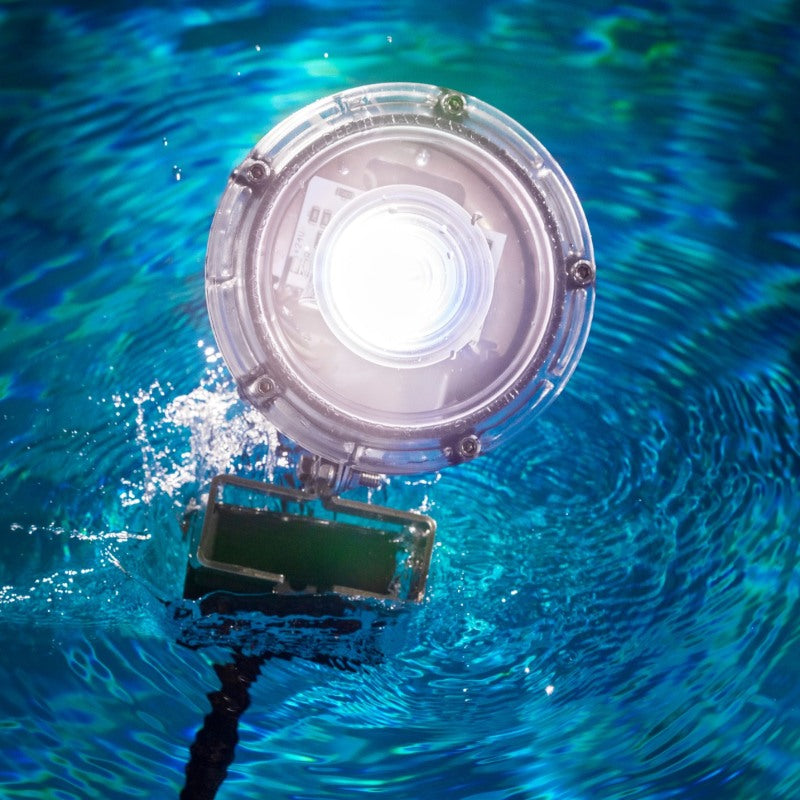 Kasco RGBW LED Lighting - W25 White LED Lighting System white LED light fixture operating underwater in clear blue water