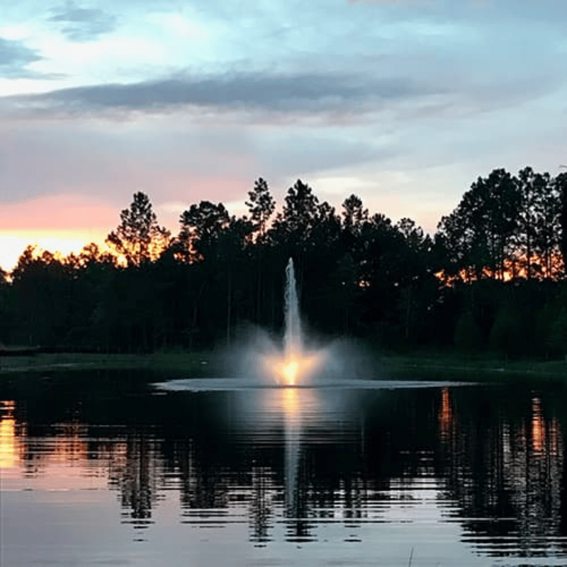 Kasco Stainless Steel LED Light Kit - On Water Display with Trees at the Background