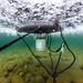 Kasco Surface Aerator - Underwater Shot with the Unit