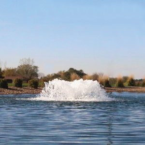 Algae Control