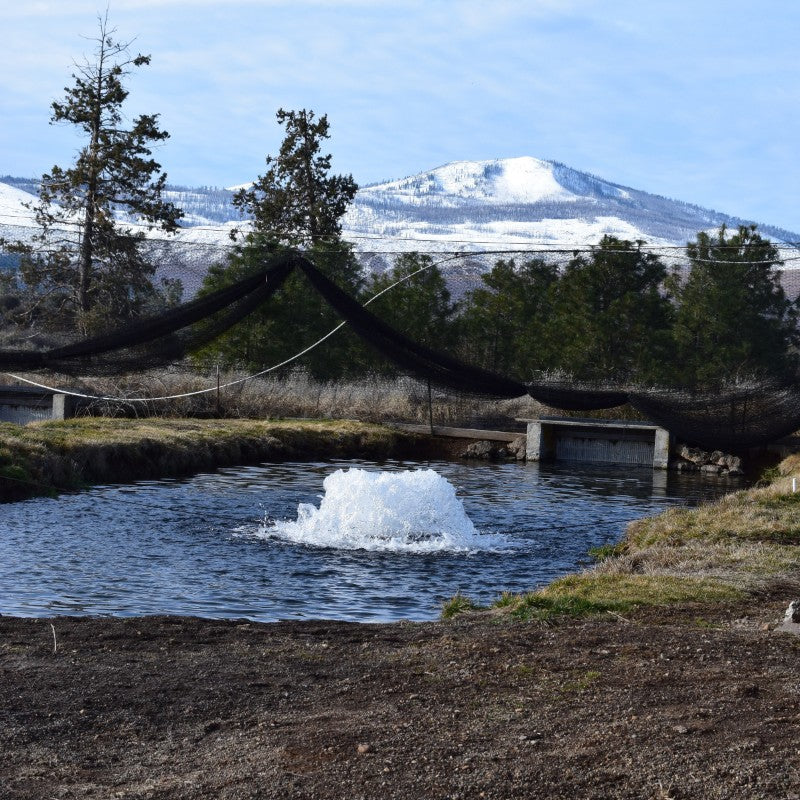 Kasco surface aerator operating in a small pond with snow-covered mountains in the background during cold weather conditions