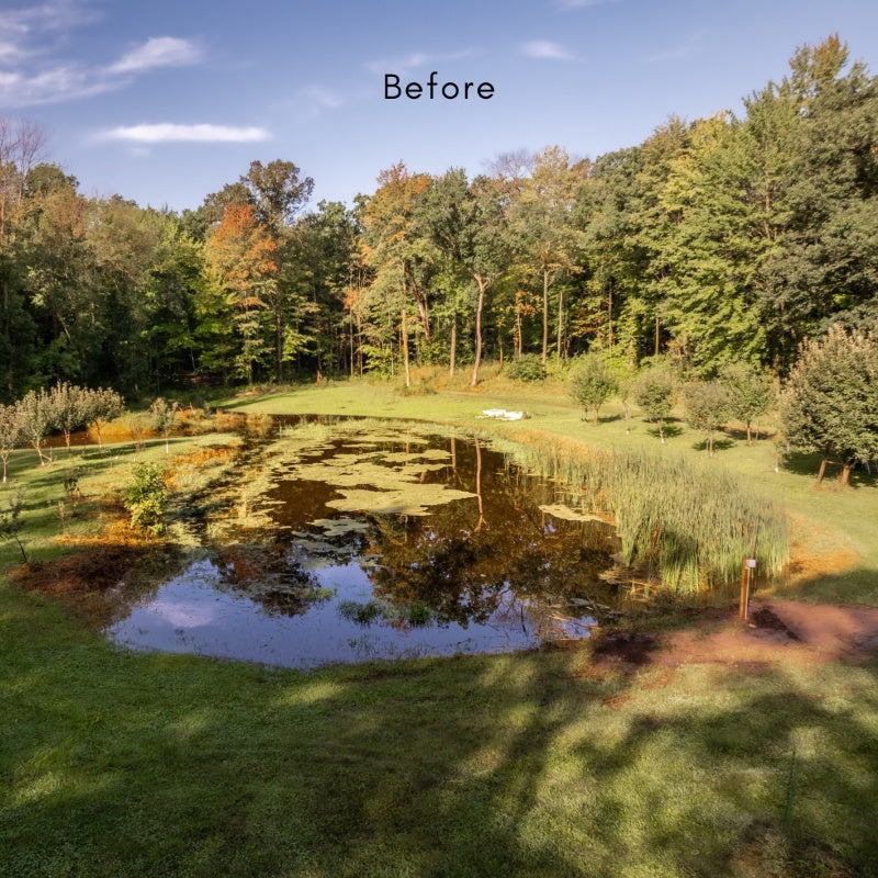 Pond with algae growth and murky water conditions shown before treatment with Kasco AquatiClear system