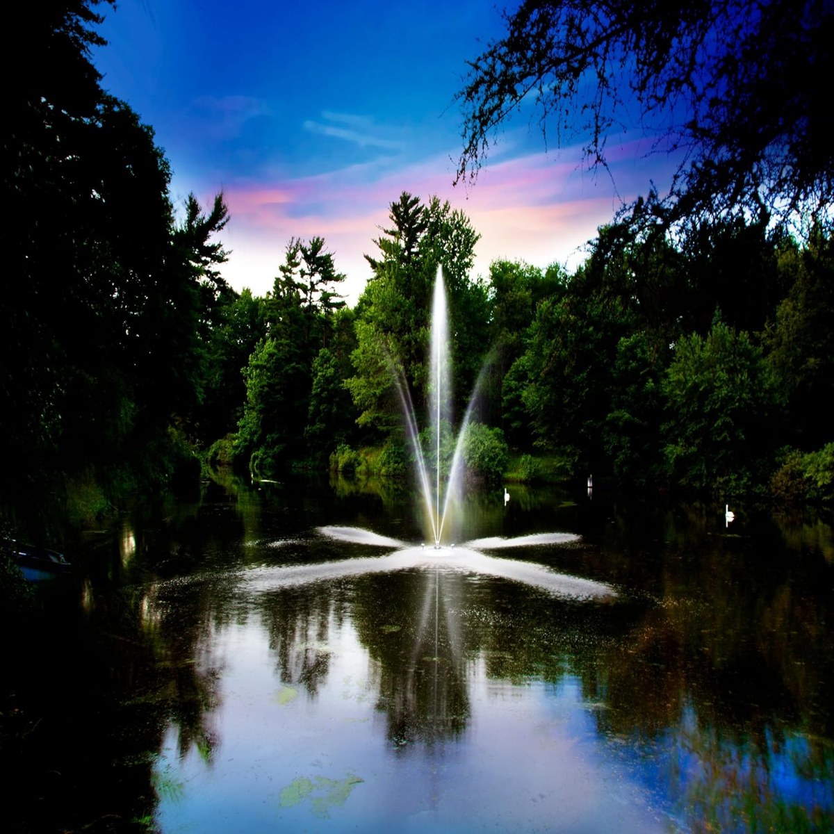 Scott Aerator Clover Fountain Masterpiece Bundle - Clover Fountain on Water Display, Showcasing Its Spray Pattern at Dusk