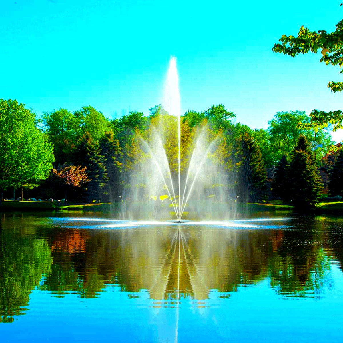 Scott Aerator Clover Fountain Masterpiece Bundle – Clover Fountain on Water Display with a Beautiful Reflection