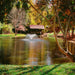 Scott Aerator DA-20 Aerating Fountain Masterpiece Bundle - DA-20 - On Water with Trees at the Background